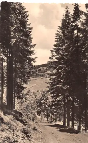 Bärenfels Blick zum FDGB-Ferienheim ngl 189.925