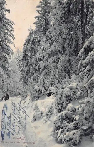 Kipsdorf Winter im Erzgebirge bahnpgl 189.924