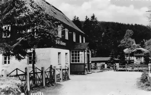 Waldbärenburg Gasthaus Riedelmühle gl1961 189.932