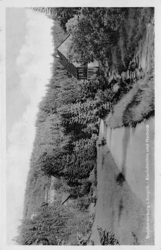 Waldbärenburg Riedelmühle ngl 189.927