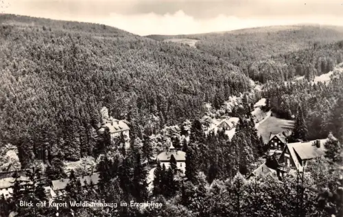 Waldbärenburg i.Erzgebirge Panorama gl1967 189.938
