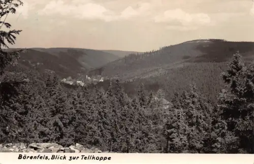 Bärenfels Blick zur Tellkoppe gl1965 189.942