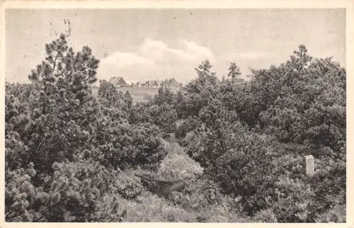 Georgenfeld Hochmoor gl1935 189.982