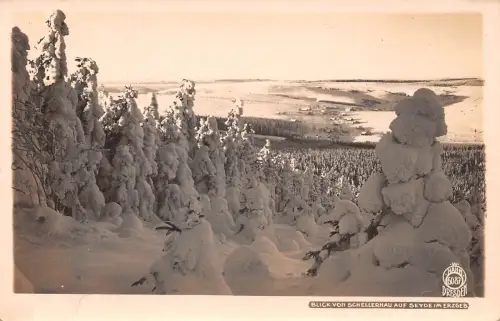 Schellerhau Blick auf Seyde Fotokarte ngl 190.002