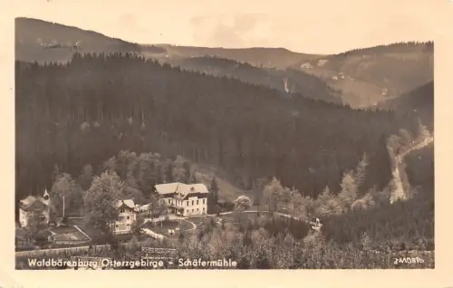 Waldbärenburg Osterzgeb. Schäfermühle gl1955 190.009