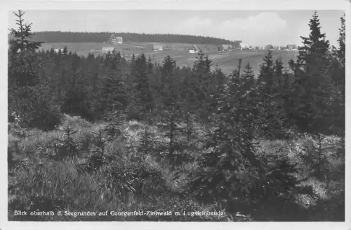 Georgenfeld-Zinnwald Blick vom Seegrund ngl 190.014