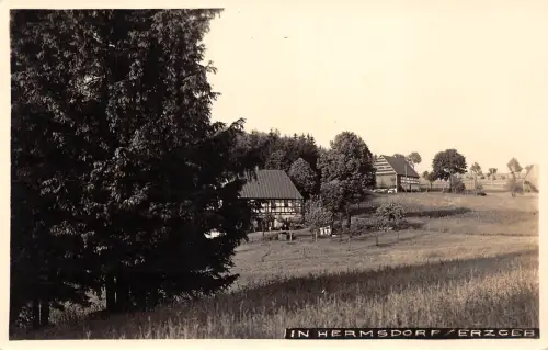 Hermsdorf (Erzgebirge) Panorama Fotokarte gl1941 190.031