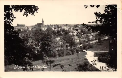 Dippoldiswalde Panorama Fotokarte gl1956 190.056