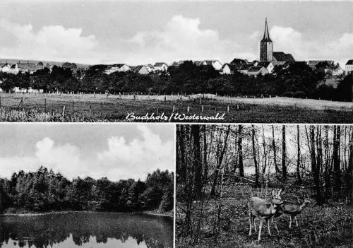 Buchholz/Westerwald Mehrbildkarte ngl 190.159