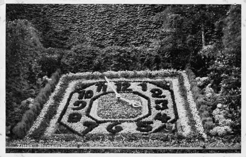 Zittau Blumenuhr ngl 190.344