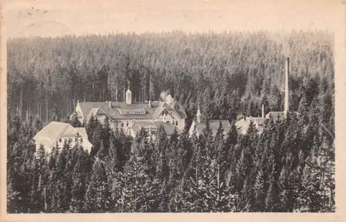 Reiboldsgrün Heilstätte Carolagrün gl1920 190.374