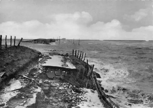 Husum Dockkoogsdeich ngl 190.385