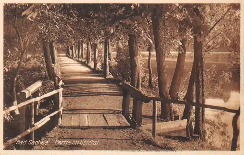 Bad Sachsa Partie im Salztal ngl 190.411