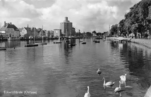 Eckenrförde Teilansicht ngl 190.396