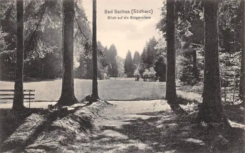 Bad Sachsa Blick auf die Bürgerwiese ngl 190.412