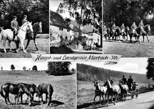 Marbach/Alb Mehrbildkarte ngl 190.442