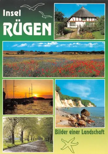 Insel Rügen Mehrbildkarte ngl 190.516