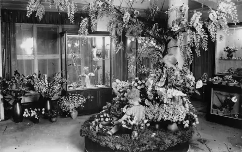 Sebnitz (Sächs. Schweiz) Kunstblumenschau ngl 190.640