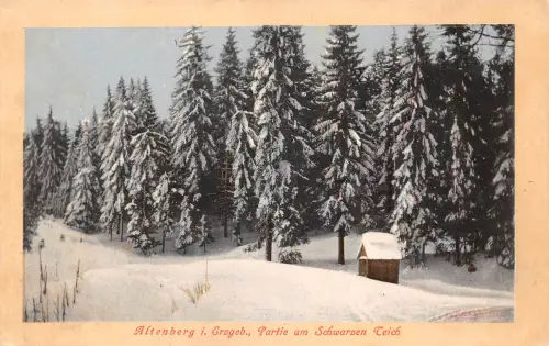 Altenberg (Erzg.) Partie am Schwarzen Teich ngl 190.654