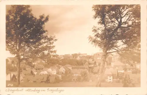 Altenberg (Erzg.) Panorama Fotokarte ngl 190.662