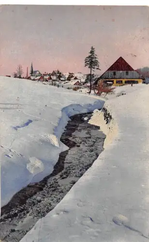 Altenberg (Erzg.) Panorama im Winter gl1921 190.659