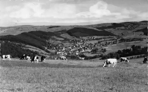 Geising / Erzgebirge Panorama gl1965 190.690