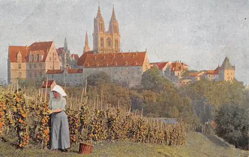 Meissen a. Elbe Meissner Weinberg ngl 190.730