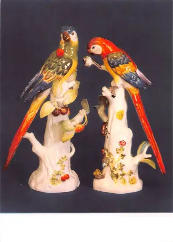 Meissen a. Elbe Schauhalle Papageien ngl 190.812