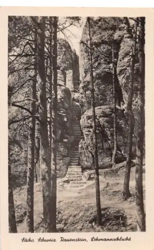 Pirna (Elbe) Rauenstein Lehmannschlucht gl1956 190.889