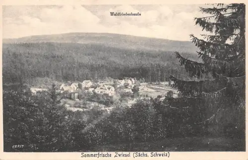 Zwiesel (Sächs. Schweiz) Panorama ngl 190.935