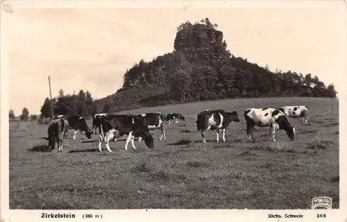 Sächsische Schweiz Zirkelstein ngl 191.104