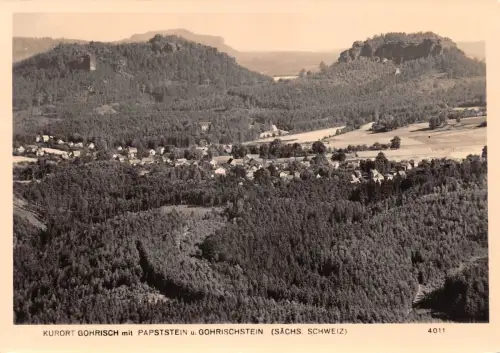 Gohrisch mit Papststein u. Gohrischstein gl1964 191.162