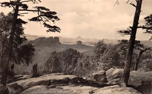 Sächs. Schweiz Blick vom Carolafels gl1961 191.182