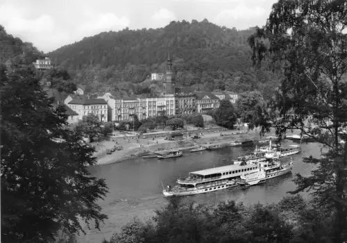 Bad Schandau Panorama gl 191.227