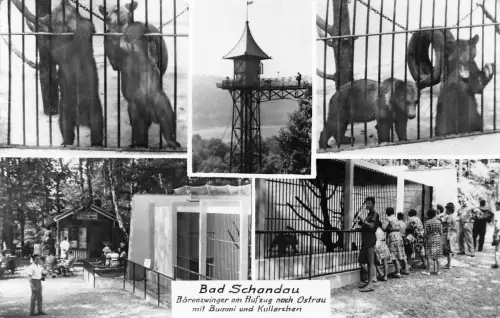 Bad Schandau Bärenzwinger Mehrbildkarte gl1963 191.271