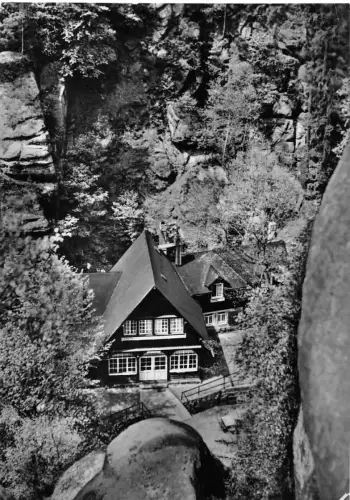 Uttewalder Grund Waldidylle gl1964 191.312