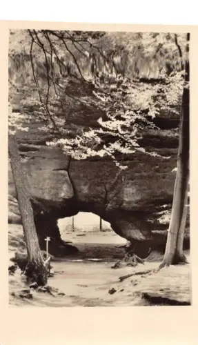 Sächs. Schweiz Kuhstall ngl 191.381