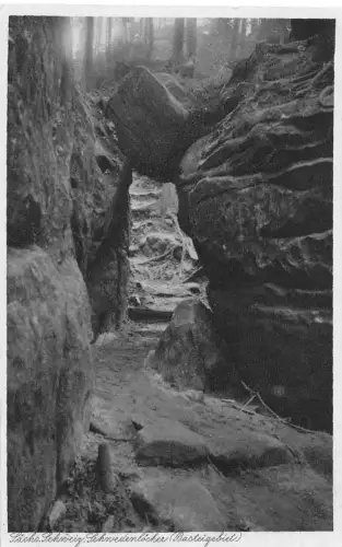 Sächs. Schweiz Bastei gl 191.393