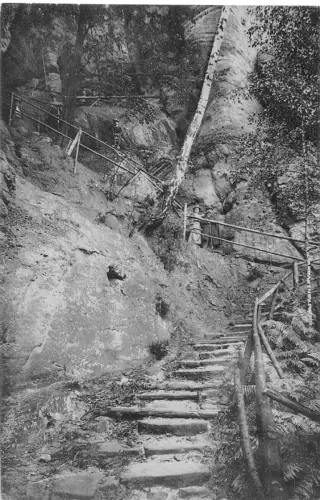 Sächs. Schweiz Aufstieg z. Brand ngl 191.419