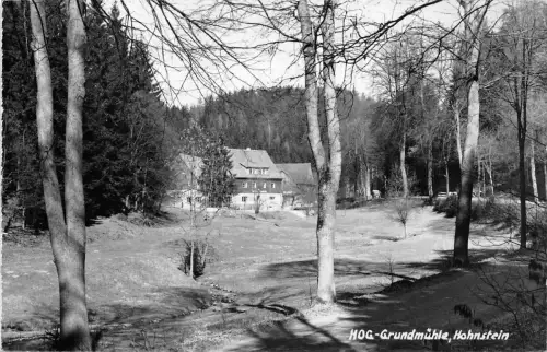 Hohnstein (Sächs. Schweiz) HOG-Grundmühle gl1964 191.434