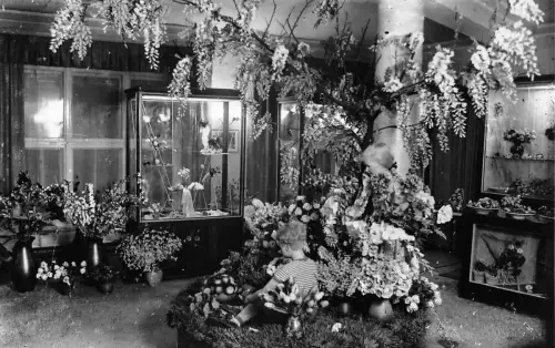 Sebnitz i.Sa. Blumenschau ngl 191.487