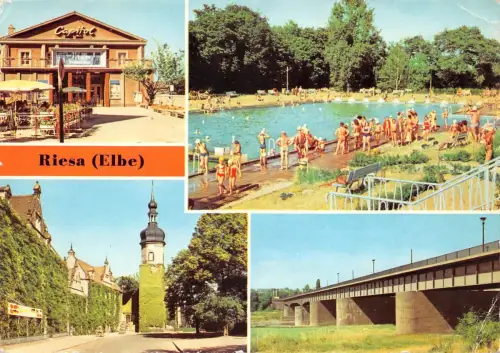 Riesa a.d. Elbe Mehrbildkarte gl 191.525