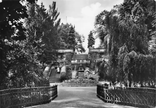 Riesa a.d. Elbe Freitreppe im Stadtpark gl1960 191.517