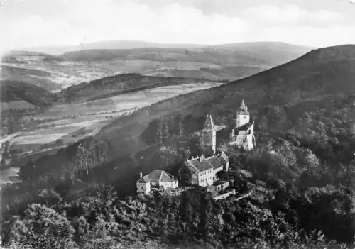 Darmstadt Burgruine Frankenstein gl1964 191.643