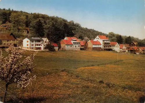 Nonrod i.Odw. Gasthaus und Pension "Zum grünen Baum" ngl 191.696
