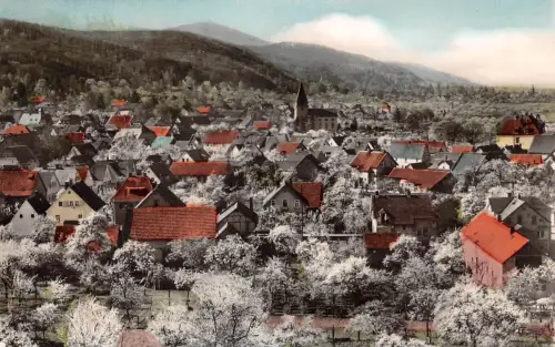 Seeheim a.d. Bergstraße Panorama gl1960 191.715