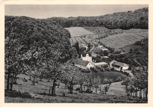 Jugenheim a.d.B. Obstgut Talhof ngl 191.717