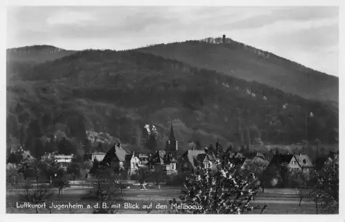 Jugenheim a.d.B. Blick auf den Melibocus ngl 191.707