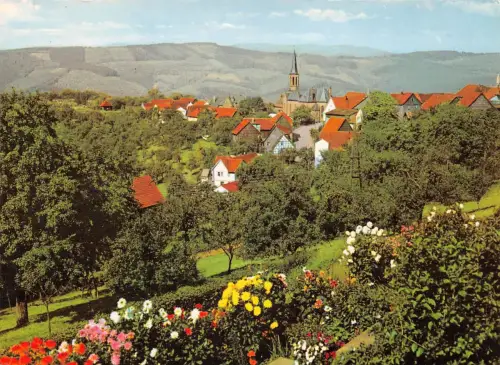 Rothenberg i.Odw. Panorama gl1979 191.740