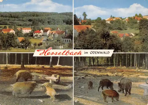 Hesselbach i.Odw. Mehrbildkarte gl1970 191.750